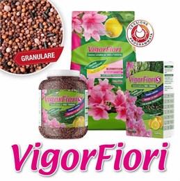 Vasi e Fioriere? VIGORFIORI per risultati eccezionali!